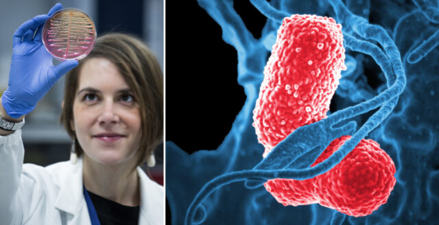 Extreme antibiotic resistance in war-torn Ukraine